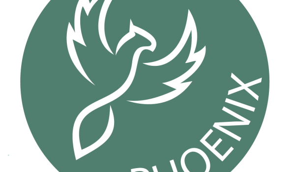 Phoenix PCR Logo - No Text