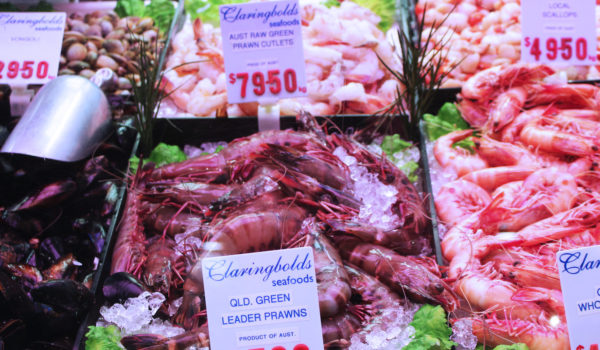 Claringbolds Seafoods Prawns